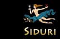 Siduri Wines on Random Best Wineries in Sonoma Valley