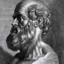 Dec. at 83 (459 BC-376 BC)   Hippocrates of Kos, was a Greek physician of the Age of Pericles, and is considered one of the most outstanding figures in the history of medicine.