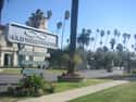 Hollywood Forever Cemetery on Random Top Must-See Attractions in Los Angeles