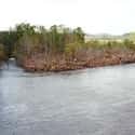 Holston River on Random Best U.S. Rivers for Fly Fishing