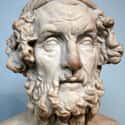 The Iliad, The Odyssey   Homerus, best known as his anglicised name Homer, is the author of the Iliad and the Odyssey. He was believed by the ancient Greeks to have been the first and greatest of the epic poets.