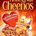 Honey Nut Cheerios on Random Best Breakfast Cereals