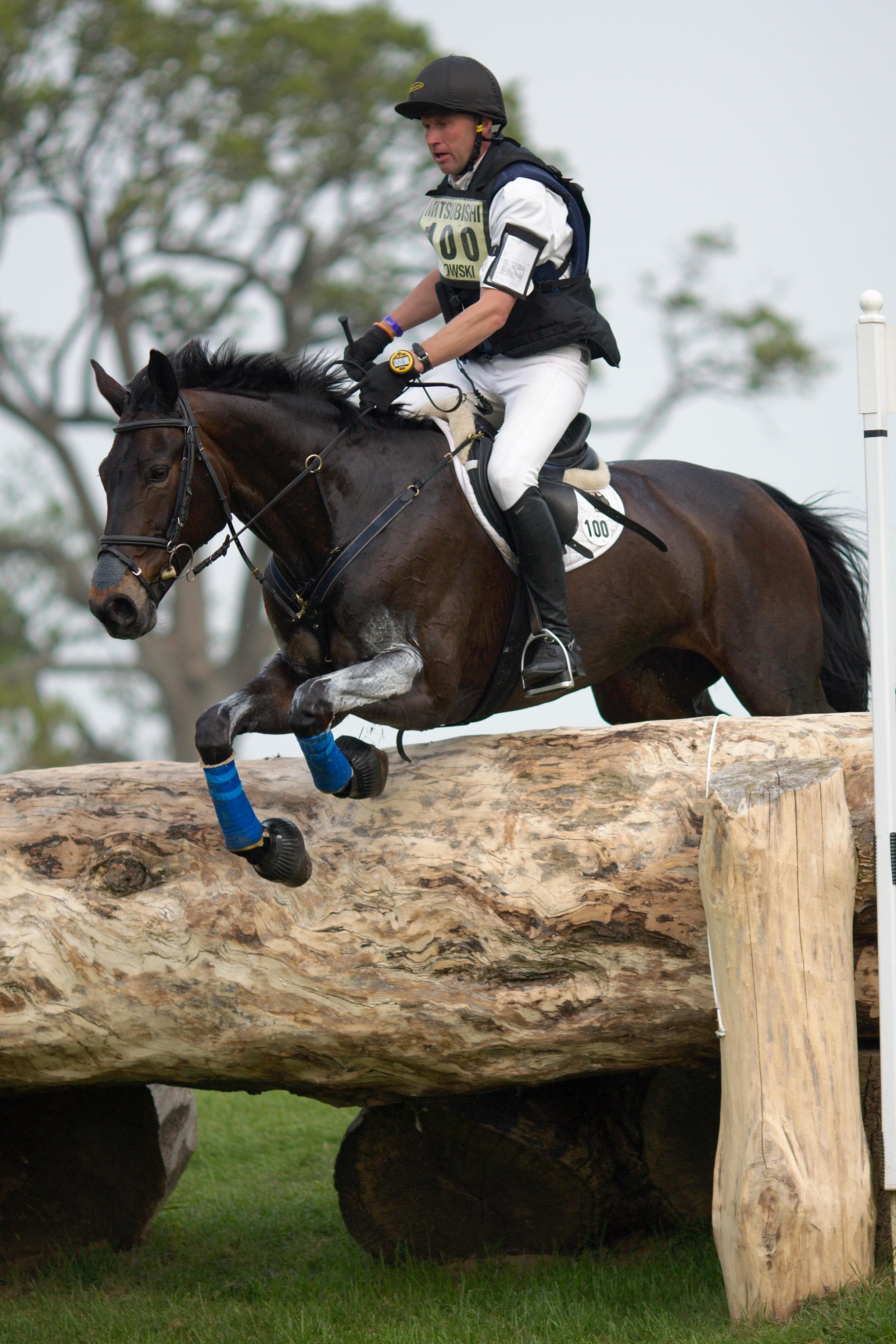 Famous Equestrians from Germany List of Top German Equestrians