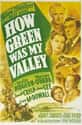 How Green Was My Valley on Random Best Black and White Movies
