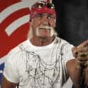 Hulk Hogan on Random Greatest Pro Wrestlers