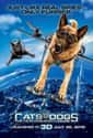 Cats & Dogs: The Revenge of Kitty Galore on Random Best Live Action Animal Movies for Kids