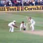 Ian Botham is listed (or ranked) 27 on the list The Greatest Cricketers