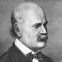 Dec. at 47 (1818-1865)   Ignaz Philipp Semmelweis was a Hungarian physician of German extraction now known as an early pioneer of antiseptic procedures.