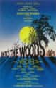 James Lapine , Stephen Sondheim   Into the Woods is a musical that includes lyrics by Stephen Sondheim and book by James Lapine.