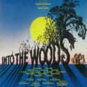 James Lapine , Stephen Sondheim   Into the Woods is a musical that includes lyrics by Stephen Sondheim and book by James Lapine.