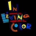 In Living Color on Random Funniest TV Shows