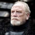 Jeor Mormont on Random Best 'Game Of Thrones' Characters