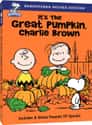 It's the Great Pumpkin, Charlie Brown on Random Best Comedy Movies of 1960s