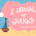 I Dream of Jeannie on Random Very Best Shows That Aired in the 1960s