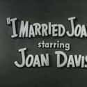 I Married Joan on Random Best Sitcoms from the 1950s