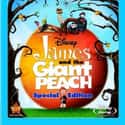 James and the Giant Peach on Random Movies Based On Books You Should Have Read In 4th Grad