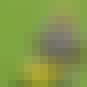 James Jones is listed (or ranked) 9 on the list The Best Green Bay Packers Wide Receivers of All Time