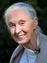 Jane Goodall on Random Most Powerful Women