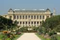 Jardin des Plantes on Random Best Museums in France