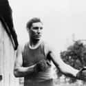 Heavyweight   Jess Willard was a world heavyweight boxing champion known as the Pottawatomie Giant who knocked out Jack Johnson in April 1915 for the heavyweight title.