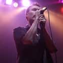 Shoegaze; Alternative Rock Jim Reid is the lead singer for the alternative rock band The Jesus and Mary Chain, which he formed with his elder brother and guitarist William Reid.