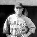 Joe Sewell is listed (or ranked) 6 on the list Longest Hitting Streaks in Baseball