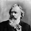 Johannes Brahms on Random Greatest Musical Artists