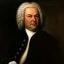 Johann Sebastian Bach on Random Celebrities Who Were Orphaned As Children