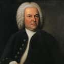Johann Sebastian Bach on Random Greatest Musical Artists