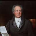 Johann Wolfgang von Goethe on Random Greatest Minds
