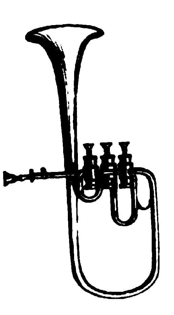 Brass Instruments: List of Musical Instruments in the Brass Instrument  Family