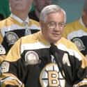 Johnny Bucyk on Random Greatest Boston Bruins