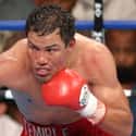 Lightweight   Vencio a floy Mayweather jr   José Luis Castillo is a Mexican boxer. Nicknamed El Temible, Castillo is generally considered one of the best lightweights of his era.
