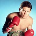 Lightweight, Super featherweight, Light welterweight   Julio César Chávez González is a retired Mexican professional boxer. He is considered by acclamation as the greatest Mexican fighter of all time.