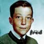 Just Fred is listed (or ranked) 37 on the list Famous Albums Produced by Steve Albini