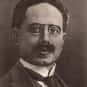 Karl Liebknecht is listed (or ranked) 8 on the list Famous Assassinations in Germany