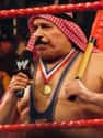 The Iron Sheik on Random Best Pro Wrestling Champions