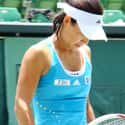 Kimiko Date-Krumm on Random Greatest Women's Tennis Players