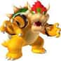 King Koopa is listed (or ranked) 12 on the list The Greatest Dinosaur Characters of All Time