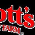 Knott's Berry Farm on Random Best Amusement Parks In America