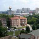Knoxville on Random Best Southern Cities To Live In