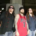Dubstep, Nu metal, Industrial metal   Korn is an American nu metal band from Bakersfield, California, formed in 1993.