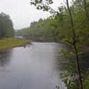 Lackawaxen River on Random Best U.S. Rivers for Fly Fishing