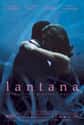 Lantana on Random Best Movies Set in Australia