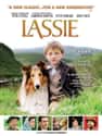Lassie on Random Best Live Action Animal Movies for Kids