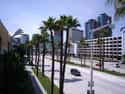 Long Beach on Random Best US Cities for Walking