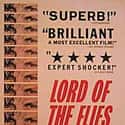 Lord of the Flies on Random Best Classic Kids Movies That Are Kind of Dark