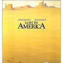 Albert Brooks, Garry Marshall, Julie Hagerty   Lost in America is a 1985 comedy film directed by Albert Brooks and co-written by Brooks with Monica Johnson.
