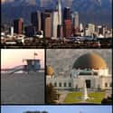 Los Angeles on Random Global Cities