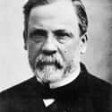 Dec. at 73 (1822-1895)   Louis Pasteur was a French chemist and microbiologist renowned for his discoveries of the principles of vaccination, microbial fermentation and pasteurization.